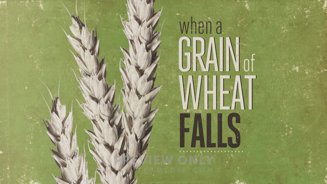When_a_Grain_of_Wheat_Falls_16x9-TITLE-2#preset=tg_title2.jpg
