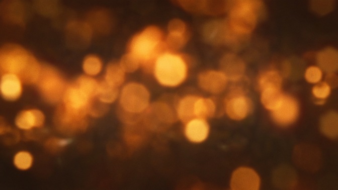 Bush_Bokeh_Gold_HD.jpg