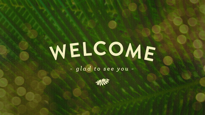 palm bokeh - welcome