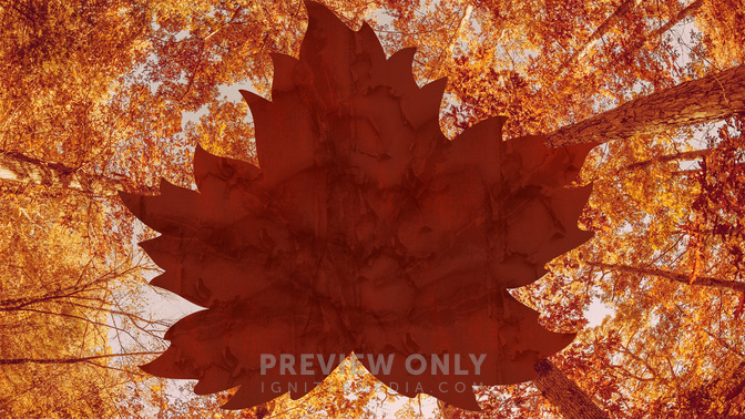 Fall_Into_Church_WIDE-TITLE-3#preset=tg_title3.jpg
