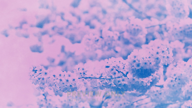 Pastel_Scenes-Welcome_WIDE-TITLE-3#preset=tg_title3.jpg