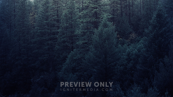 Finding_Peace_In_Solitude_16x9-BACKGROUND#preset=tg_bg.jpg