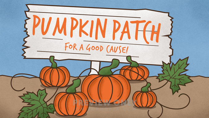 pumpkin patch