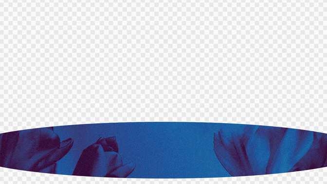 Spring_Flowers_L3_TH_Welcome_WIDE#preset=tg_transparent_png_preview.jpg