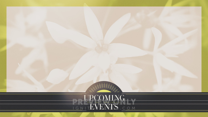 Bright_Foliage-Upcoming_Events_WIDE-CONTENT-1#preset=tg_alt1.jpg