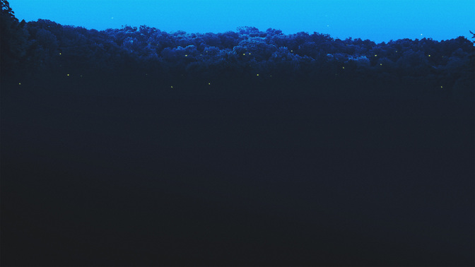 Upcoming-WIDE#preset=tg_alt2.jpg