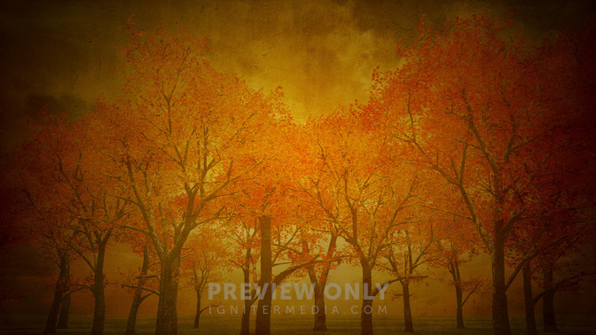 Thank_God_For_God_16x9-BACKGROUND#preset=tg_bg.jpg