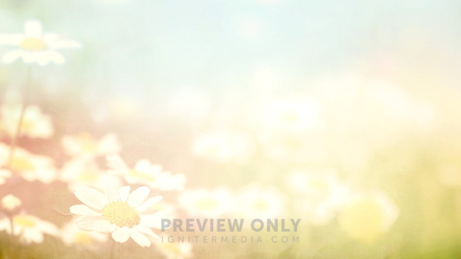 Spring_Forward_16x9-BACKGROUND#preset=tg_bg.jpg