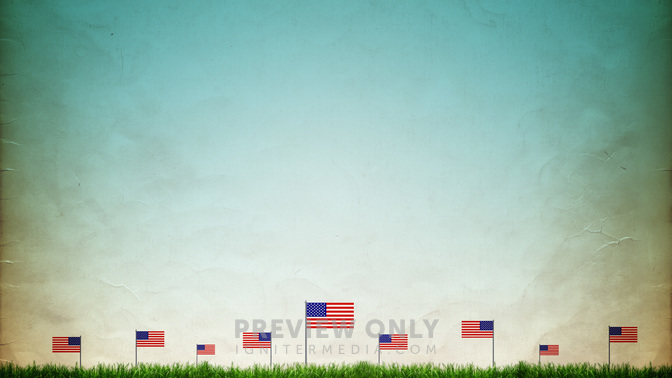 small usa flags_WIDE.jpg