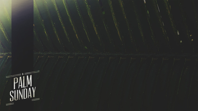 Macro_Easter_-_Palm_Sunday_16x9-CONTENT-2#preset=tg_alt2.jpg