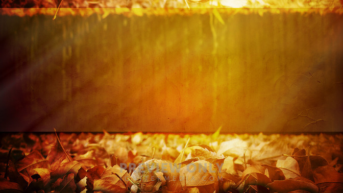 You_Belong_16x9-BACKGROUND#preset=tg_bg.jpg