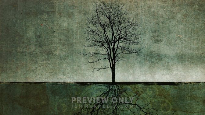 Dwell_In_Safety_WIDE-TITLE-3#preset=tg_title3.jpg