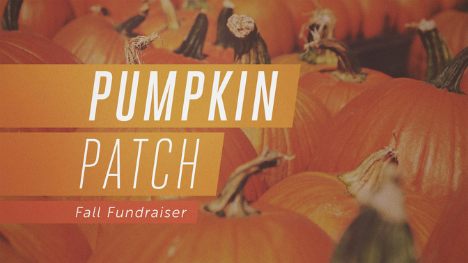 pumpkin patch