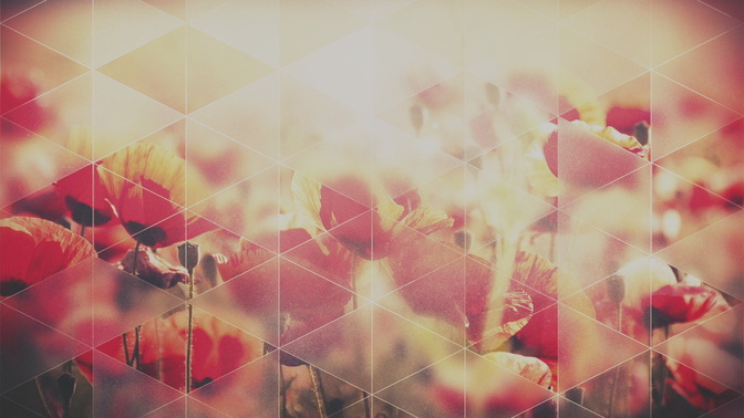 Opaque_Triangles_Poppies_HD.jpg