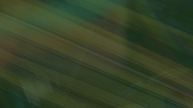 Easter Textures_Easter Texture_Alt2_Palm_Events_WIDE#preset=tg_alt2.jpg