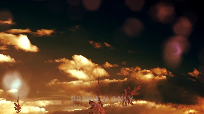 Clouds_and_Leaves_16x9.jpg