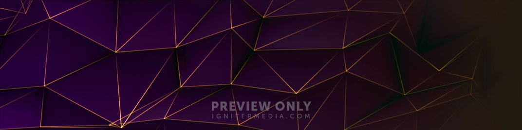 Neon_Polys_Purple_MS_1920x480.jpg