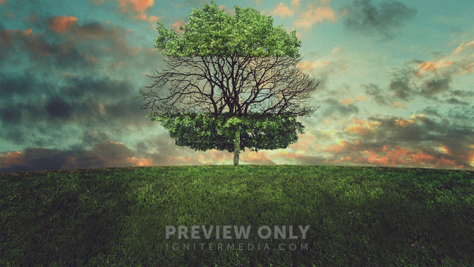 Tree_of_Death_WIDE-TITLE-3#preset=tg_title3.jpg
