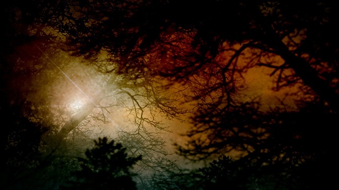Nature_Sunset_Colors_16x9.jpg