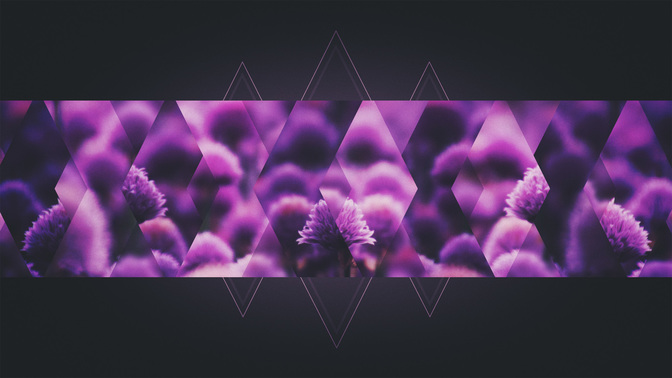 Offering-WIDE#preset=tg_title3.jpg