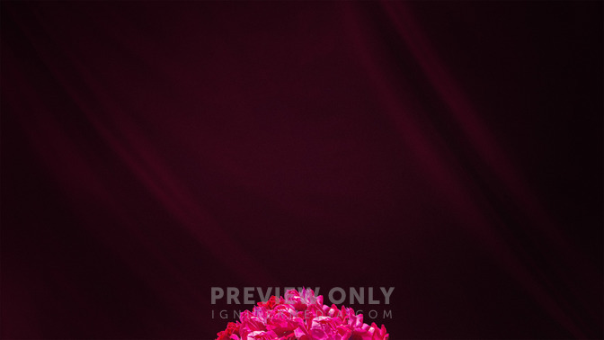 In_Remembrance_Of_16x9-CONTENT-3#preset=tg_alt3.jpg