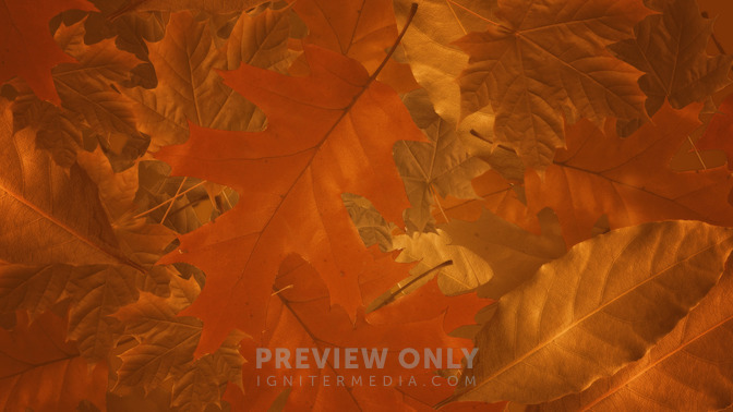 Welcome_16x9-BACKGROUND#preset=tg_bg.jpg