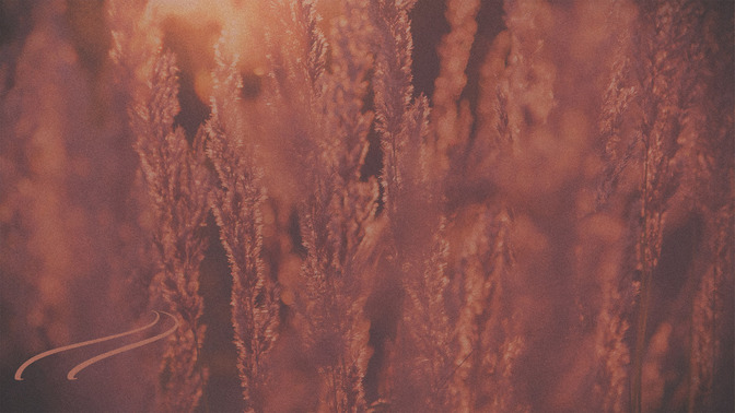 Ruth__Naomi_16x9-CONTENT-3#preset=tg_alt3.jpg