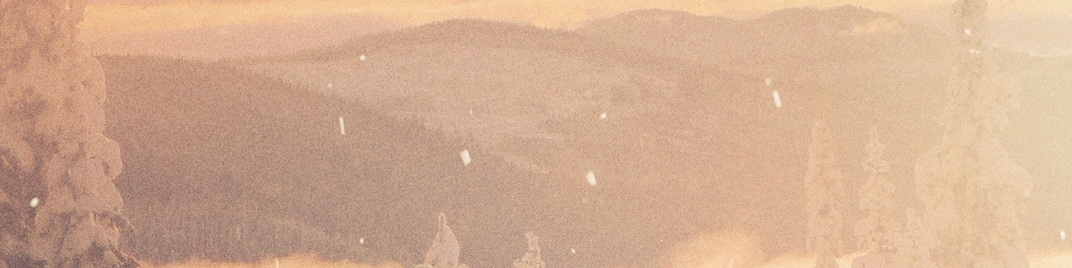 Scenic_Christmas_TreeTops_MS_1920x480.jpg