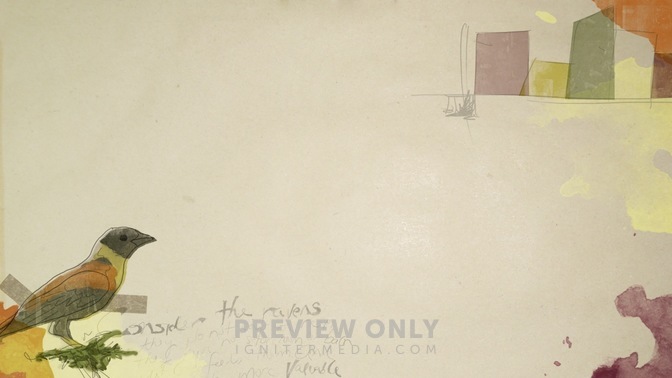Watercolor_Collage_Green_Bird_16x9.jpg