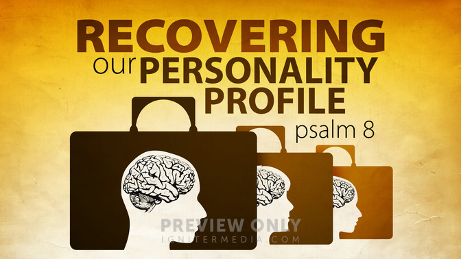 recovering our personality profile