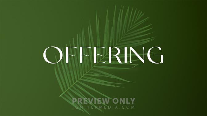 PalmOffering-WIDE#preset=tg_title2.jpg