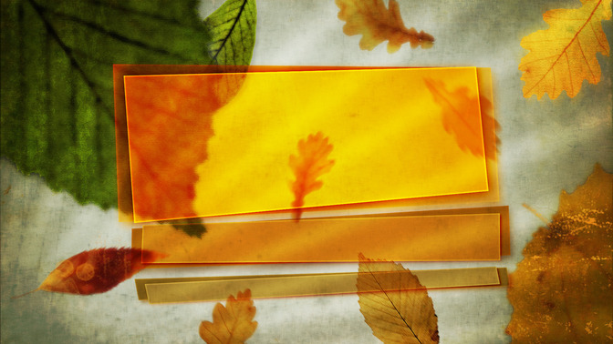 See_You_Next_Week_16x9-TITLE-3#preset=tg_title3.jpg
