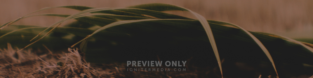 Palm Sunday Dark Detail UW_SD.jpg