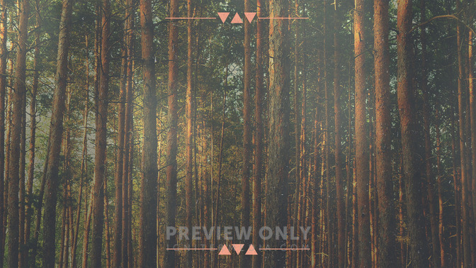 Forest_Morning_-_Welcome_16x9-BACKGROUND#preset=tg_bg.jpg