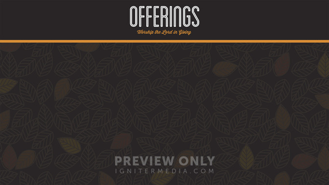 Fall_Leaves_-_Offerings_16x9-CONTENT-1#preset=tg_alt1.jpg