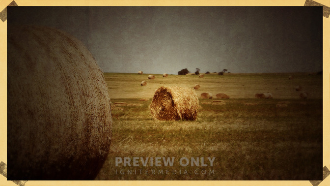 Fall_Vintage_-_Upcoming_Events_16x9-BACKGROUND#preset=tg_bg.jpg