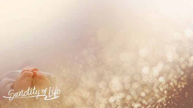Sanctityoflife-WIDE#preset=tg_alt1.jpg