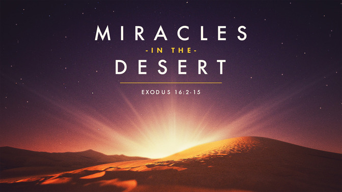miracles in the desert