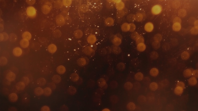 Bienvenido_16x9-BACKGROUND#preset=tg_bg.jpg