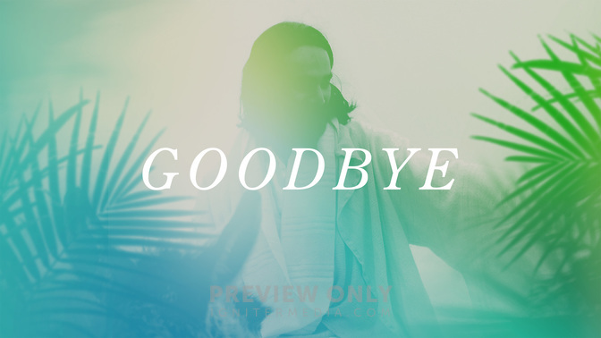 Palm-Goodbye-WIDE#preset=tg_title1.jpg