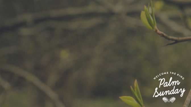 Blossoms_-_Palm_Sunday_16x9-CONTENT-1#preset=tg_alt1.jpg
