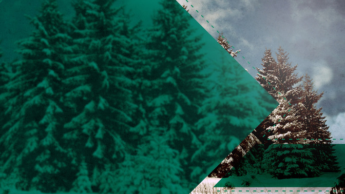 Winter_Scenes_-_God_Bless_16x9-CONTENT-3#preset=tg_alt3.jpg