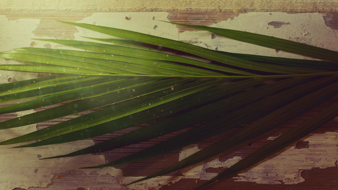 Portraits_Of_Passion-Palm_Sunday_WIDE-TITLE-3#preset=tg_title3.jpg