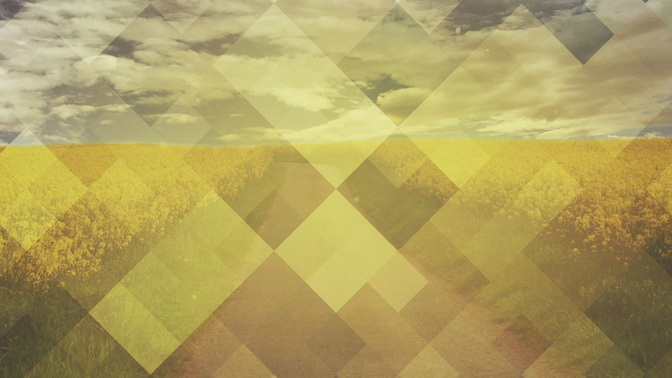 Pattern_Nature_Country_HD.jpg