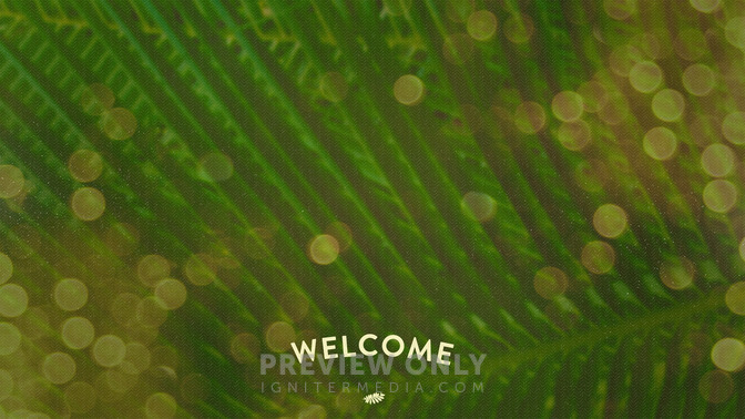 Palm_Bokeh_-_Welcome_16x9-CONTENT-2#preset=tg_alt2.jpg
