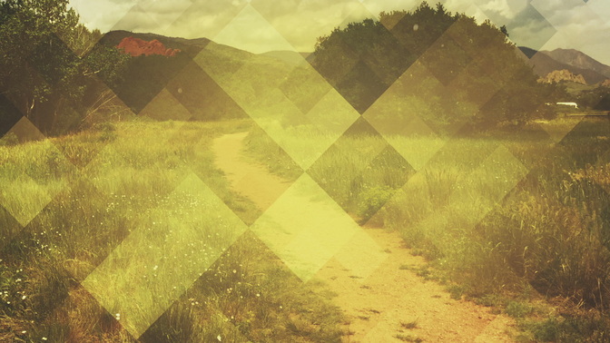 pattern nature - path