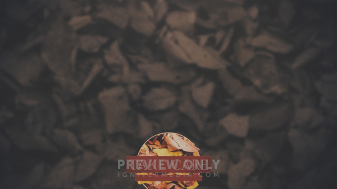 Autumn_Colors-Take_Care_WIDE-CONTENT-2#preset=tg_alt2.jpg