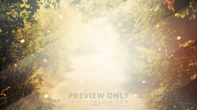 Walk_In_The_Light_16x9-TITLE-3#preset=tg_title3.jpg