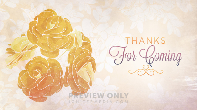 roses - thanks