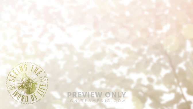 Seeing_the_Word_of_Life_16x9-CONTENT-1#preset=tg_alt1.jpg